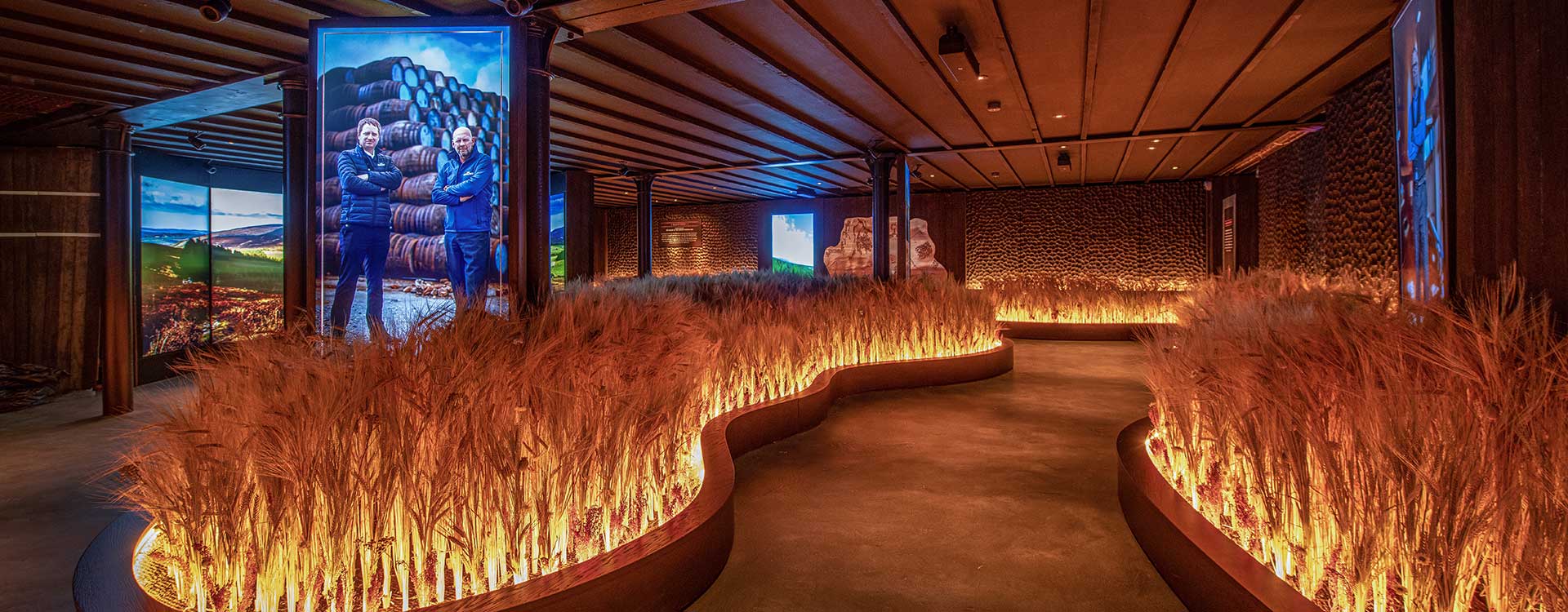 fiber optic lighting in the Glenlivet visitor centre