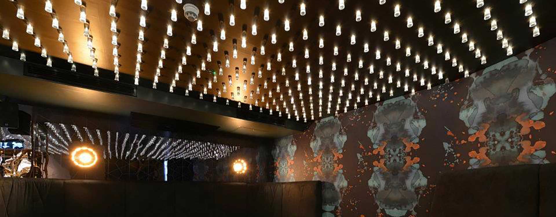 fiber optic lighting in the golden bee bar