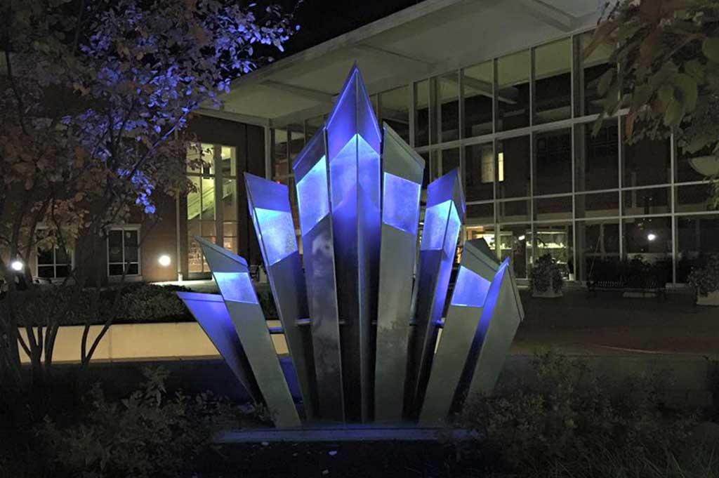 fiber optic lighting in the city of lees